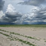 Unwetter über der Kalahari