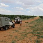 auf der Piste in der Zentral Kalahari