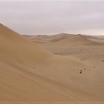 ein toller Blick in die Dünen der Namib